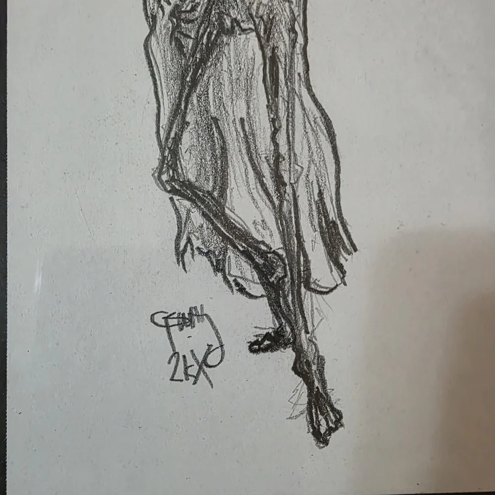 Original Pencil Drawing Skeleton Grung Goth